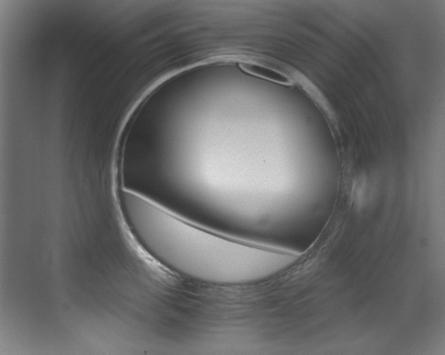 X0000073470955200607281055