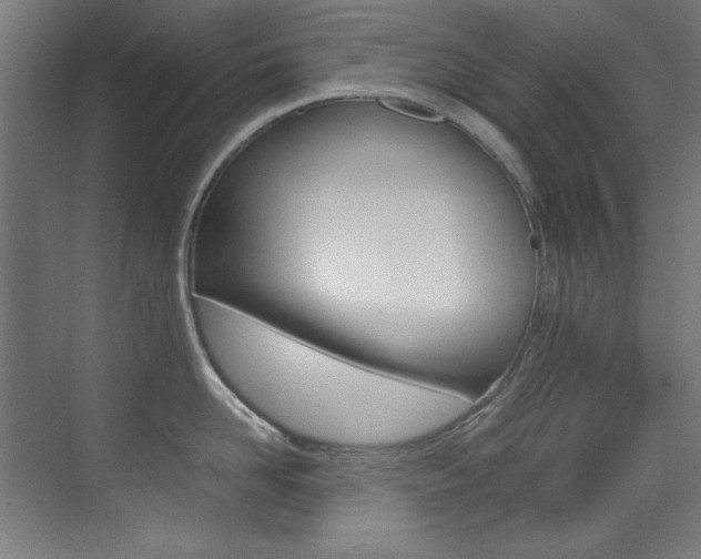 X0000073470958200607281055