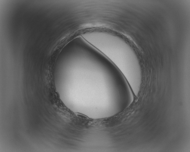 X0000073470967200607281054