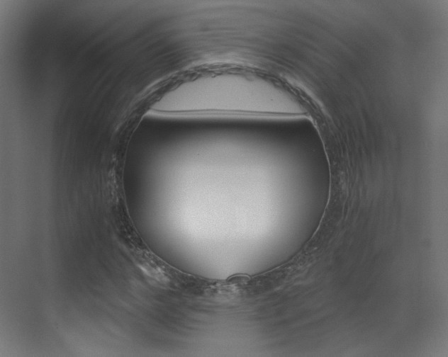 X0000073470968200607281054