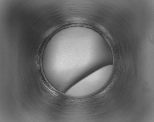 X0000073470970200607281054