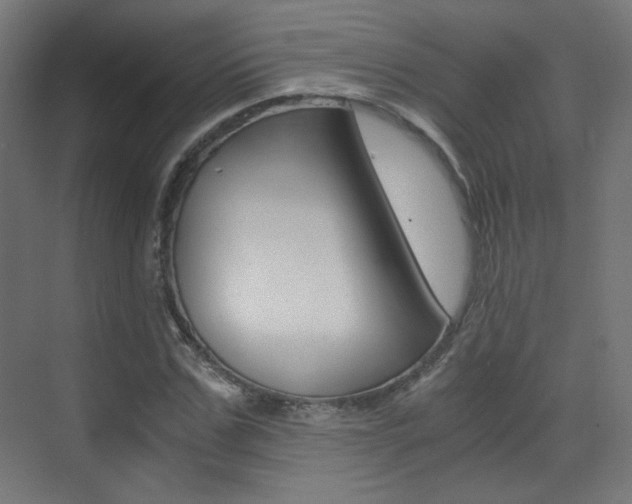 X0000073470971200607281054