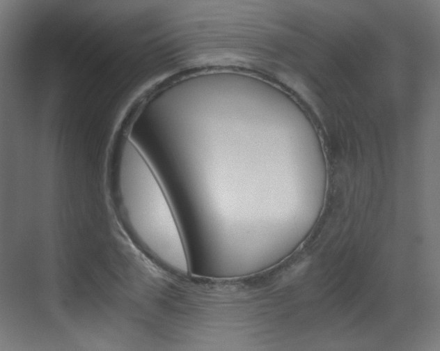 X0000073470979200607281054