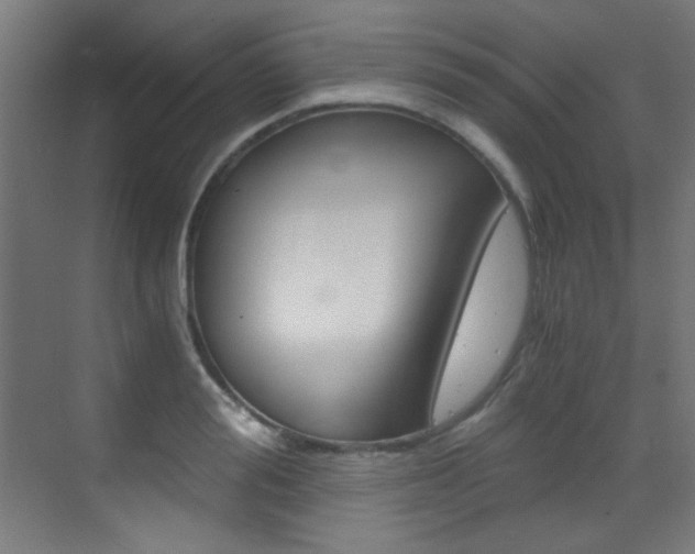 X0000073470988200607281054
