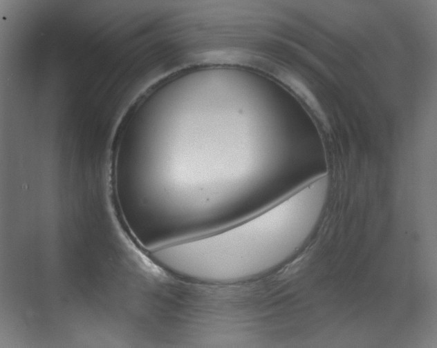 X0000073470992200607281054