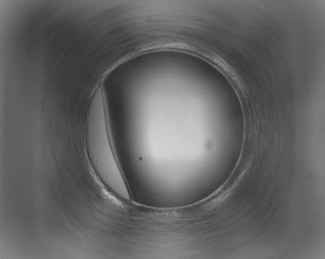 X0000073471001200607281054
