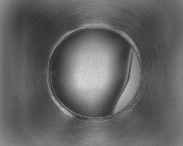 X0000073471005200607281054