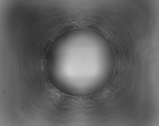 X0000073471010200607281053