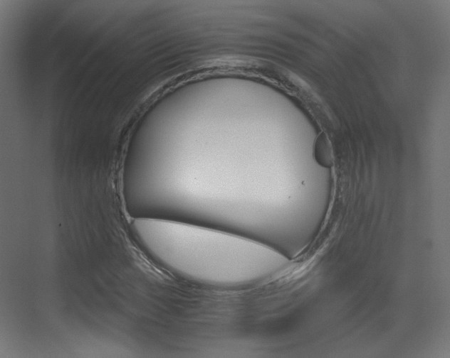 X0000073471017200607281053