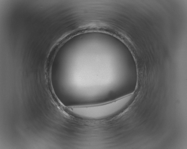 X0000073471018200607281053