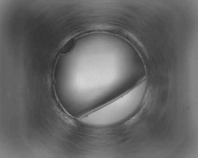 X0000073471025200607281053