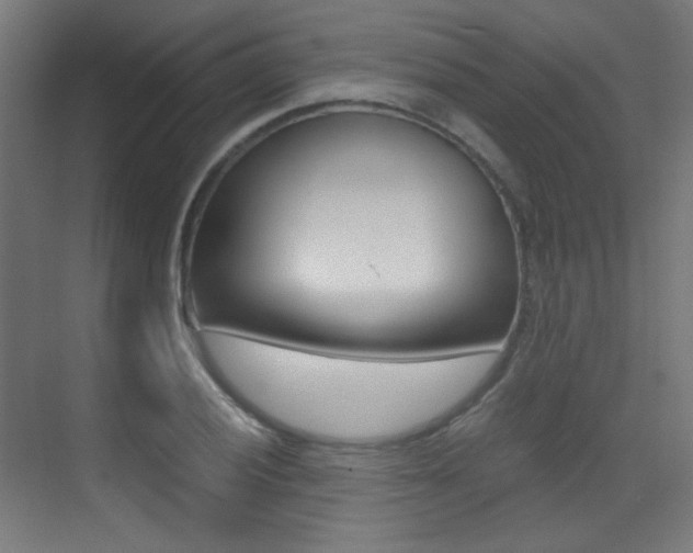 X0000073471028200607281053