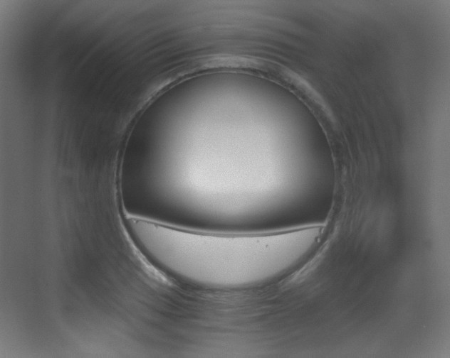 X0000073471033200607281053