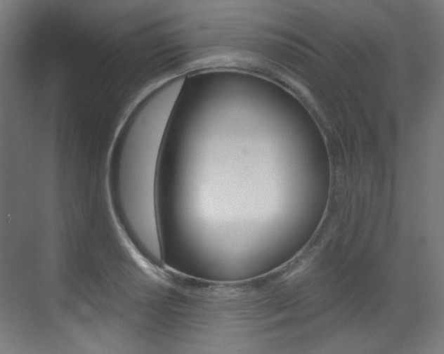 X0000073471034200607281053