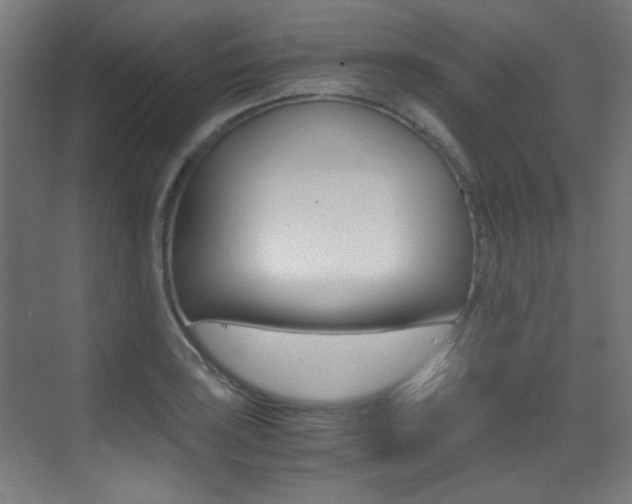 X0000073471035200607281053