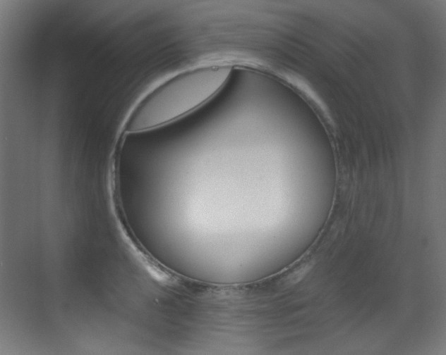 X0000073471040200607281053