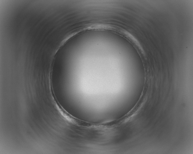 X0000073471041200607281053