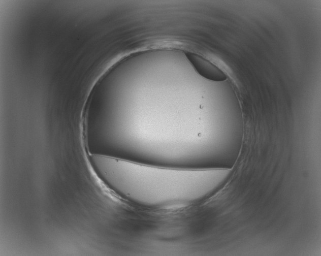 X0000073471047200607281054