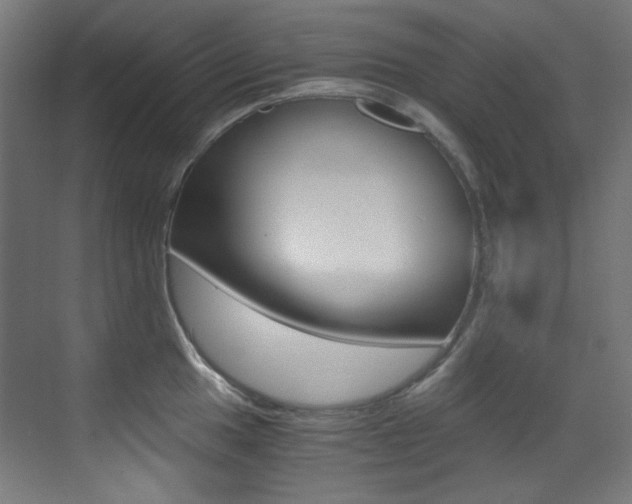 X0000073471049200607281054