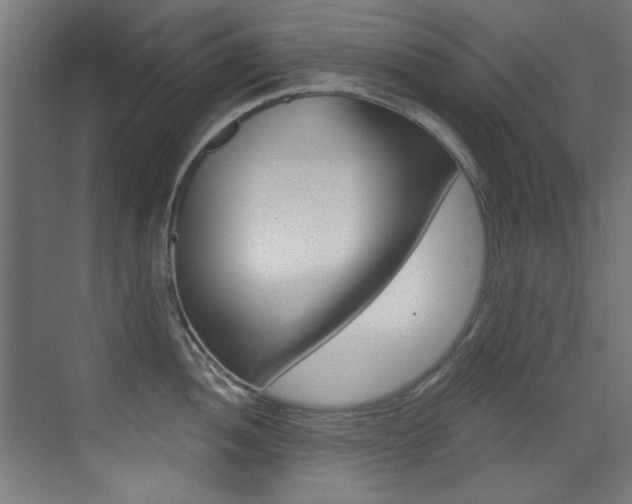 X0000073471052200607281054