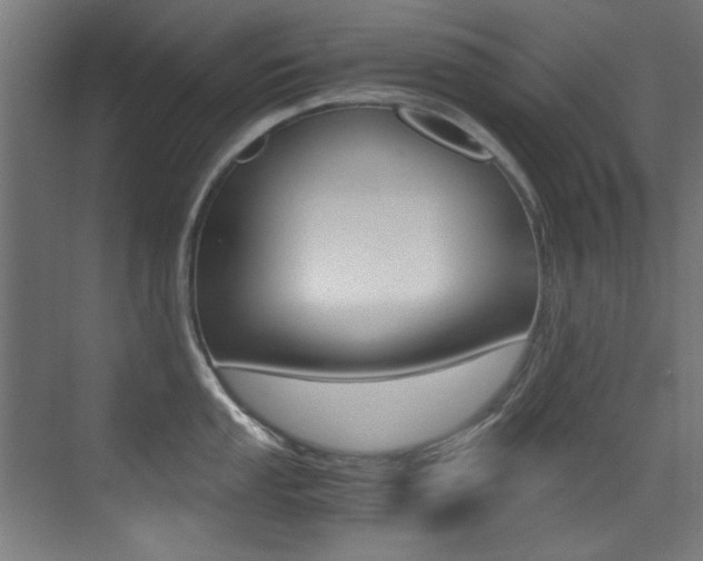 X0000073471053200607281054