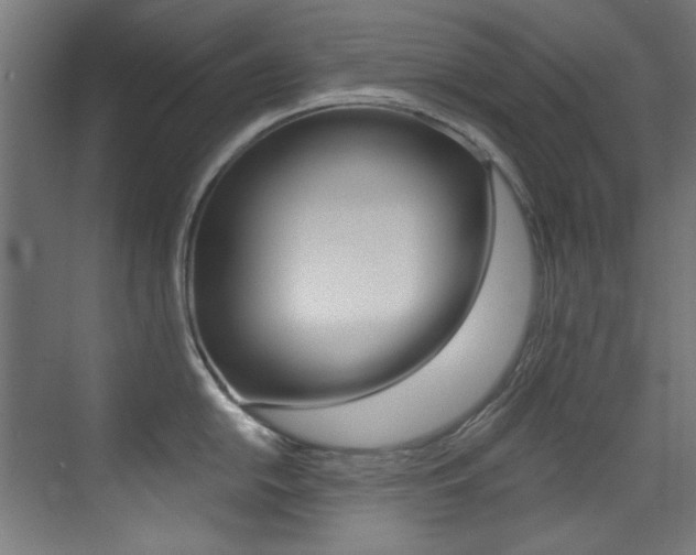 X0000073471054200607281054