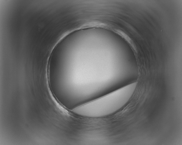 X0000073471055200607281054