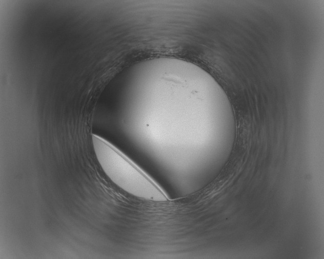 X0000073471058200607281053