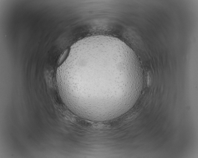 X0000073471059200607281053