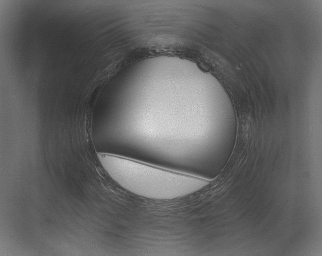 X0000073471060200607281053