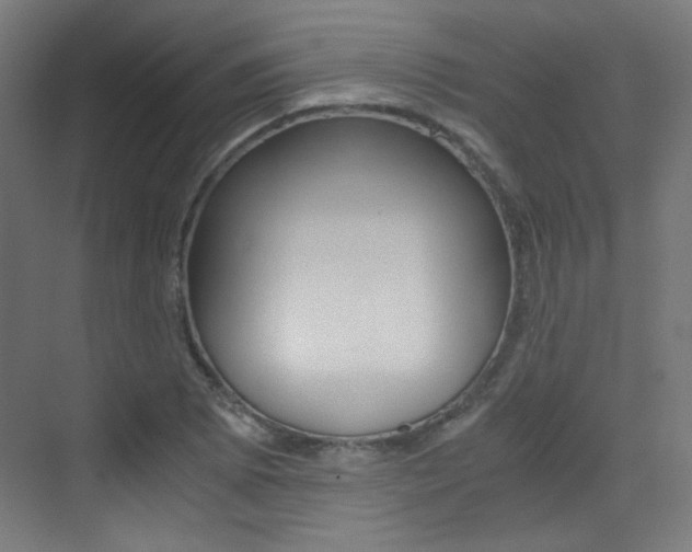 X0000073471073200607281053