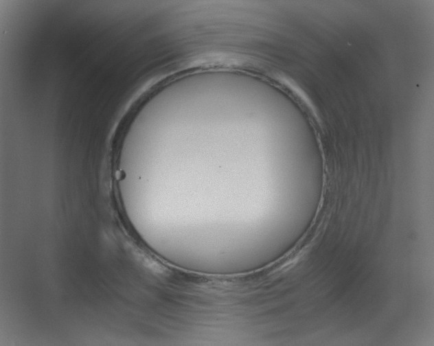 X0000073471075200607281053