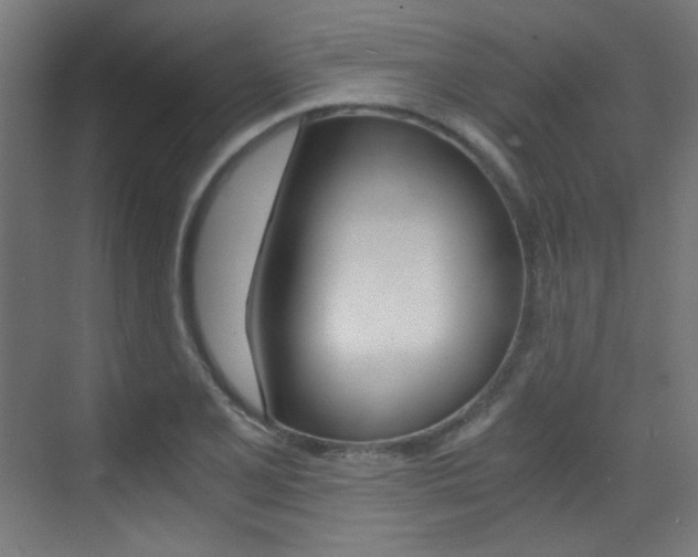 X0000073471077200607281053