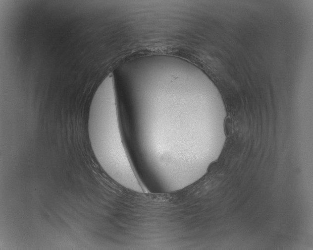 X0000073471106200607281051