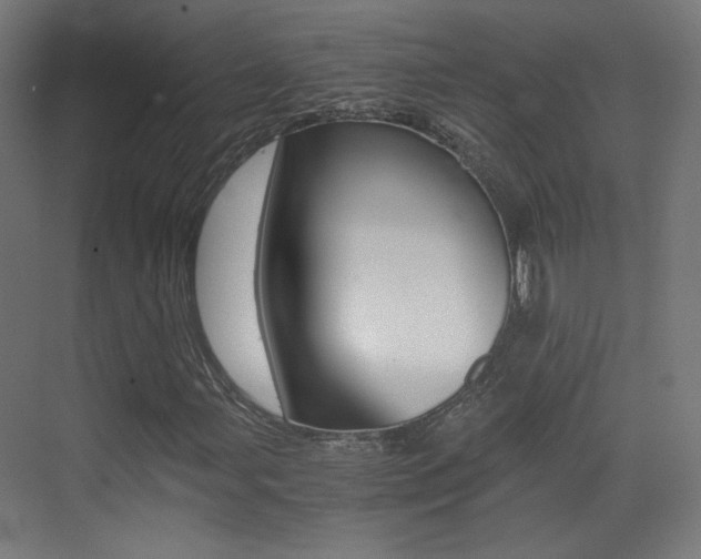 X0000073471107200607281051