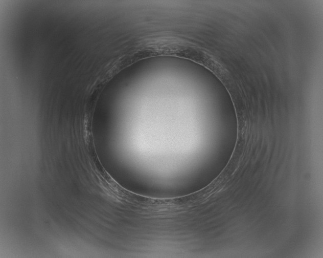 X0000073471108200607281051