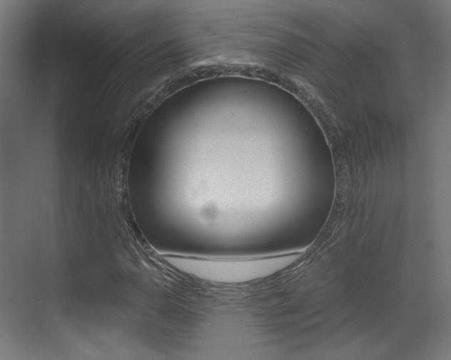 X0000073471110200607281051