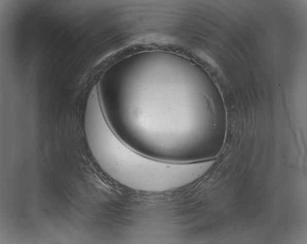 X0000073471112200607281051