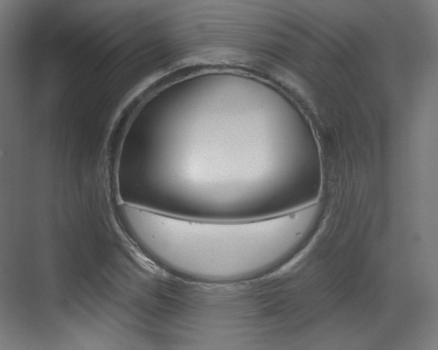 X0000073471114200607281051