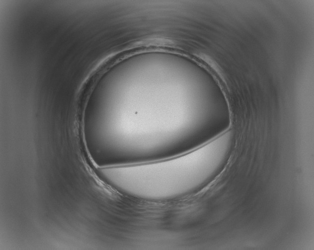 X0000073471115200607281051