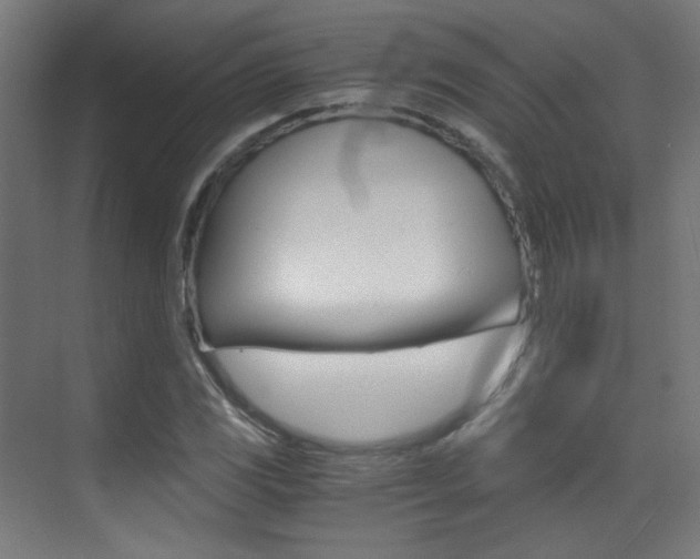 X0000073471117200607281052