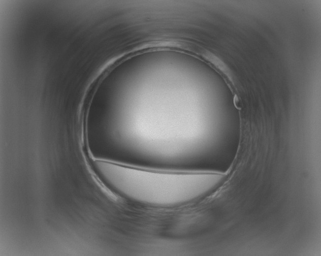 X0000073471127200607281052