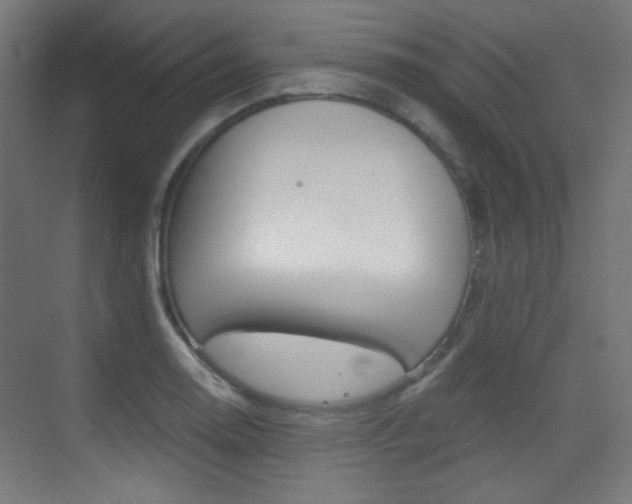X0000073471130200607281052