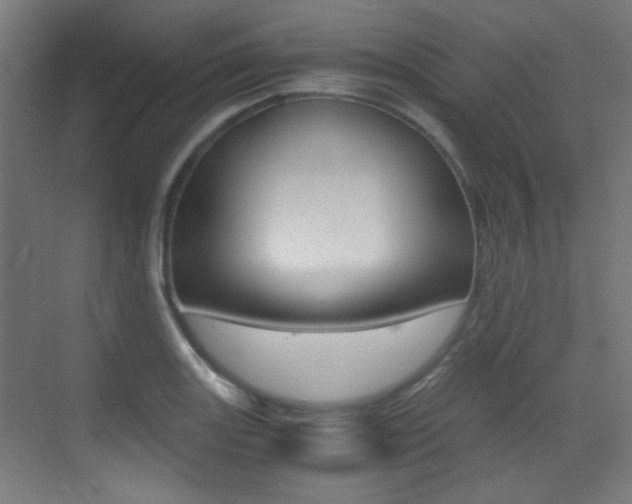 X0000073471131200607281052