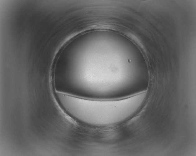 X0000073471133200607281052