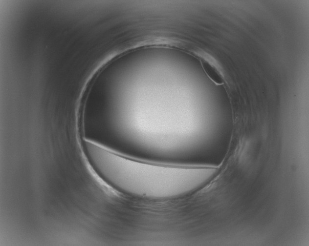 X0000073471135200607281052