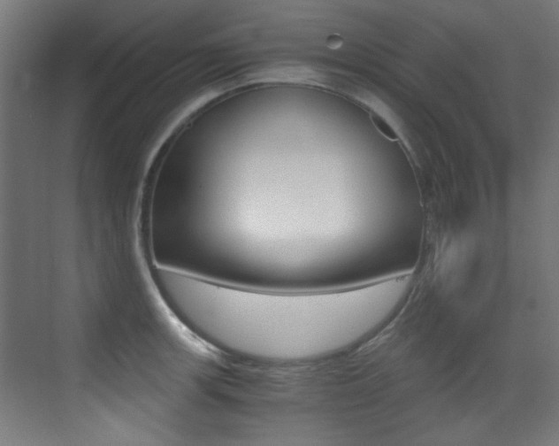 X0000073471139200607281052