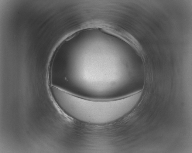 X0000073471144200607281052