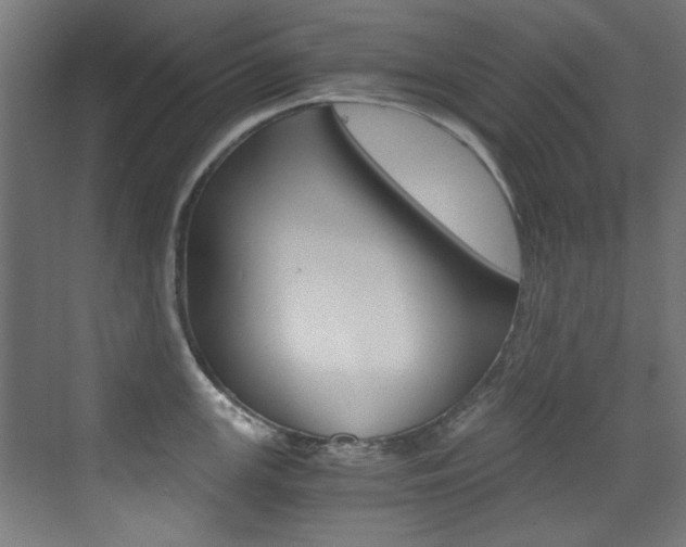 X0000073471147200607281052