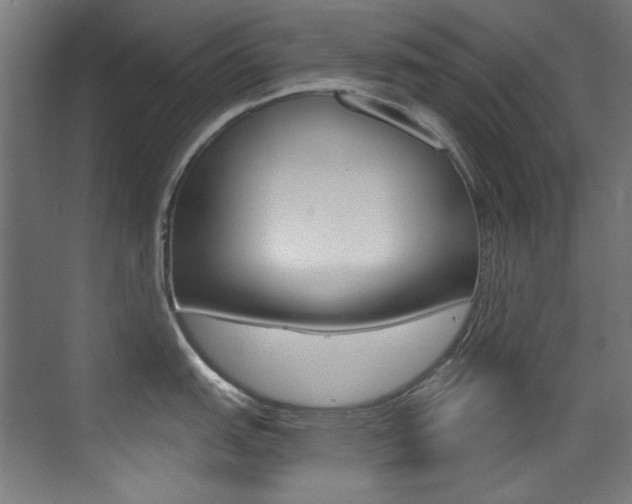X0000073471151200607281052